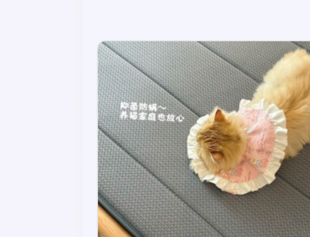 会员晒家